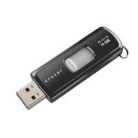 Sandisk Cruzer Micro 16 GB (PIXPN844216)